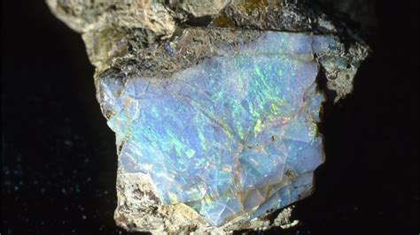 Precious <b>opal</b> found in the <b>Williams</b> <b>opal</b> <b>mine</b> near <b>Coolgardie</b> in Western Australian. . Williams opal mine coolgardie